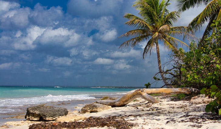 Dominican Republic's interesting facts